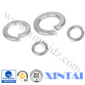 Fastener / Flat Washer Plain Washer Spring Washer Lock Washer Structural Washer